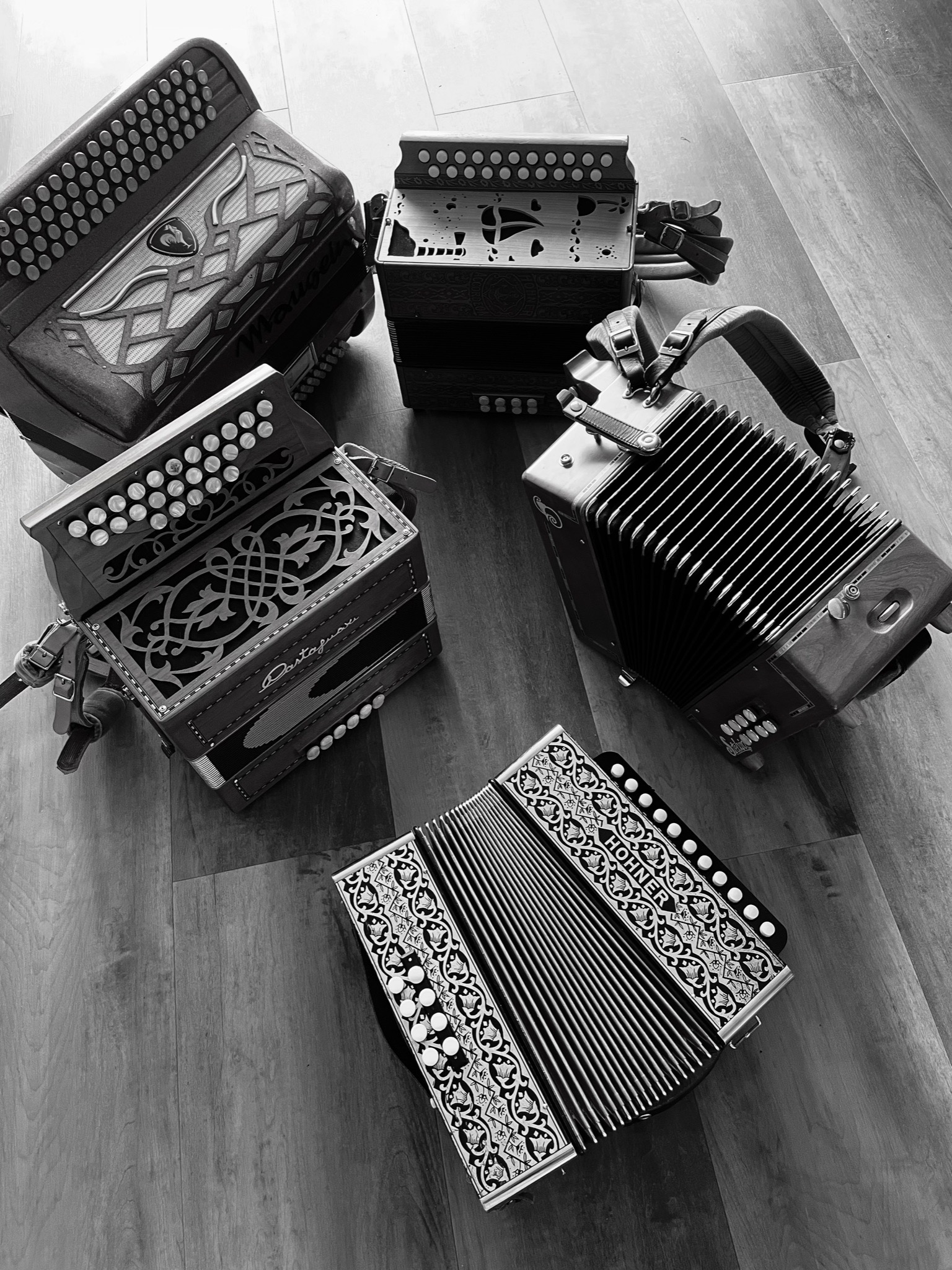 assortiment d'accordéon